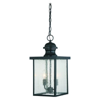 Newberry Outdoor Pendant