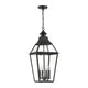 Savoy House - Jackson Outdoor Pendant - Lights Canada
