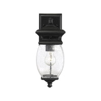 Seven Oaks Outdoor Wall Light
