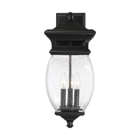 Seven Oaks Outdoor Wall Light