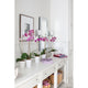 Hinkley - Shelly Vanity Light - Lights Canada