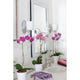 Hinkley - Shelly Vanity Light - Lights Canada