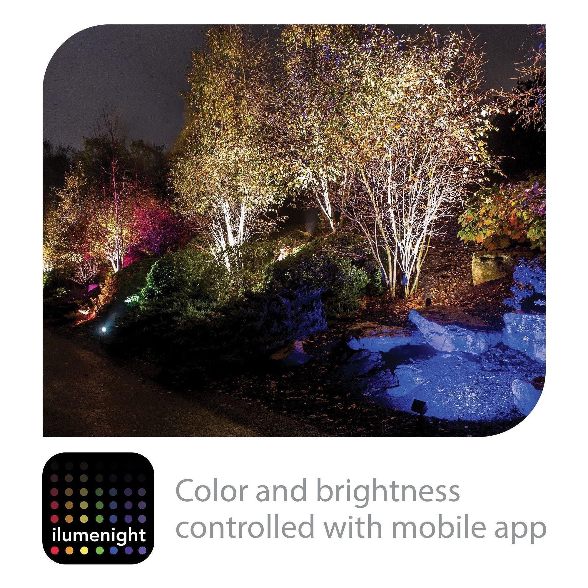 WAC Lighting - Wall Wash Light Color Changing LED 12V with Bluetooth Smart Control App - Lights Canada