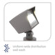 WAC Lighting - Wall Wash Light LED 120V - Lights Canada