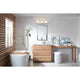 Hinkley - Taylor Vanity Light - Lights Canada