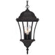 Acclaim - Bryn Mawr Outdoor Pendant - Lights Canada
