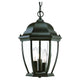Acclaim - Wexford Outdoor Pendant - Lights Canada