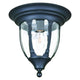 Acclaim - Suffolk Outdoor Ceiling Light - Lights Canada