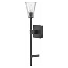 Hinkley - Hinkley Auden Vanity Light - Lights Canada