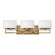 Hinkley - Hinkley Lanza Vanity Light - Lights Canada
