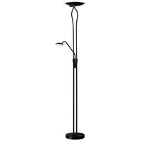 Floor Lamp (Decorative)