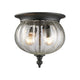 Z-Lite - Belmont Outdoor Ceiling Light - Lights Canada