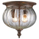 Z-Lite - Belmont Outdoor Ceiling Light - Lights Canada