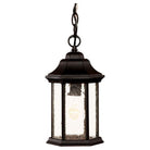 Acclaim - Madison Outdoor Pendant - Lights Canada