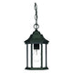 Acclaim - Madison Outdoor Pendant - Lights Canada