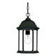 Acclaim - Madison Outdoor Pendant - Lights Canada