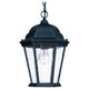 Acclaim - Richmond Outdoor Pendant - Lights Canada
