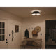Kichler - Luella 16" 3-Light Convertible Pendant - Lights Canada