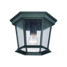 Acclaim - Dover Outdoor Ceiling Light - Lights Canada
