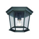 Acclaim - Dover Outdoor Ceiling Light - Lights Canada