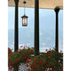 Z-Lite - Woodland Outdoor Pendant - Lights Canada