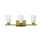 Hinkley - Hinkley Darby Vanity Light - Lights Canada