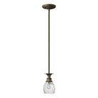 Hinkley - Plantation Mini Pendant - Lights Canada