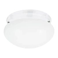 Webster One Light Flush Mount