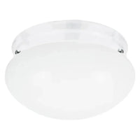 Webster One Light Flush Mount (with Bulbs)