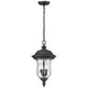 Z-Lite - Armstrong Outdoor Pendant - Lights Canada