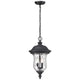 Z-Lite - Armstrong Outdoor Pendant - Lights Canada