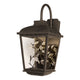 Arbor LED 1-Light Outdoor Wall Lantern