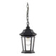 Z-Lite - Melbourne Outdoor Pendant - Lights Canada
