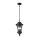 Z-Lite - Doma Outdoor Pendant - Lights Canada