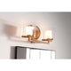 Hinkley - Rixon Vanity Light - Lights Canada