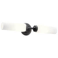 Truby 19.75" 2-Light Vanity Light
