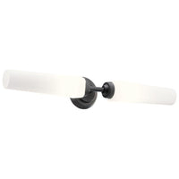 Truby 24.75" 2-Light Vanity Light