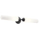 Kichler - Truby 24.75" 2-Light Vanity Light - Lights Canada