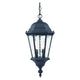 Acclaim - Telfair Outdoor Pendant - Lights Canada