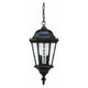 Acclaim - Telfair Outdoor Pendant - Lights Canada