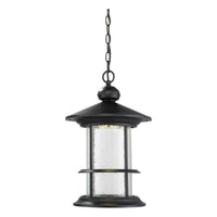 Genesis Outdoor Pendant