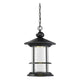 Z-Lite - Genesis Outdoor Pendant - Lights Canada