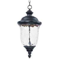 Carriage House LED Outdoor Pendant
