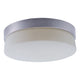 Flux LED Flush Mount