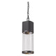 Z-Lite - Lestat Outdoor Pendant - Lights Canada
