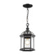 Z-Lite - Annex Outdoor Pendant - Lights Canada