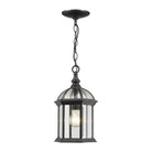 Z-Lite - Annex Outdoor Pendant - Lights Canada
