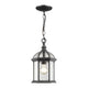 Z-Lite - Annex Outdoor Pendant - Lights Canada