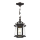 Z-Lite - Annex Outdoor Pendant - Lights Canada
