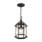 Z-Lite - Annex Outdoor Pendant - Lights Canada